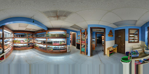 Pet Store «Night Stalkers Pet Emporium», reviews and photos, 5008 Madison Ave, Anderson, IN 46013, USA