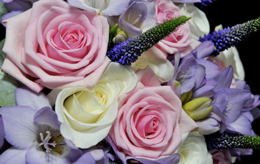 Reviews of Forever Flowers in Plymouth - Florist