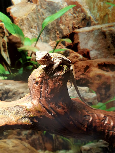 Pet Store «Pet Central», reviews and photos, 1200 Smallhouse Rd, Bowling Green, KY 42104, USA