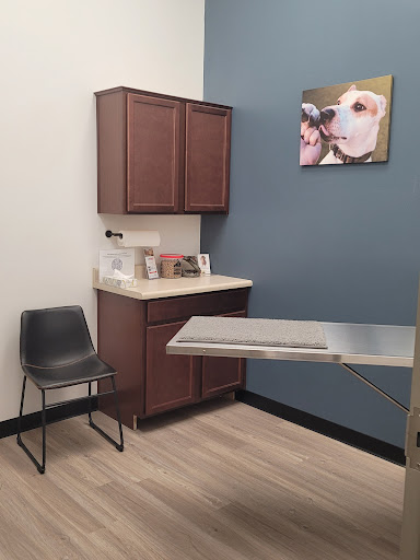 Pet Supply Store «Pet Club Cave Creek», reviews and photos, 4725 E Carefree Hwy, Cave Creek, AZ 85331, USA