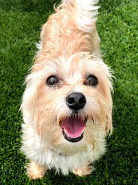 The Crate Escape - Photo 4 - Car repair in Wallingford, CT, Waterbury