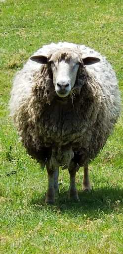 Park «Lord Hill Park», reviews and photos, 12921 150th St SE, Snohomish, WA 98290, USA