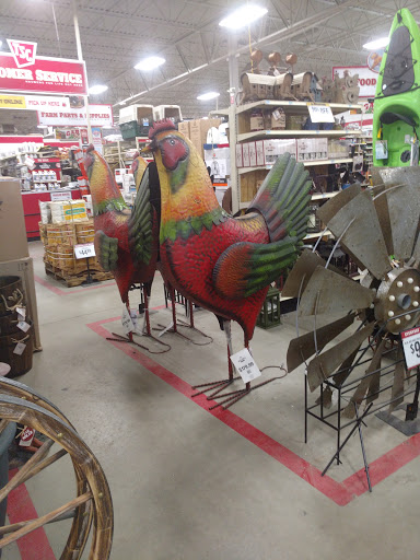 Home Improvement Store «Tractor Supply Co.», reviews and photos, 4601 E Grand River Ave, Howell, MI 48843, USA
