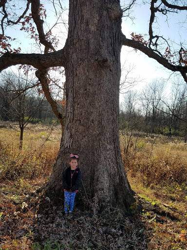 Park «Hickory Creek Preserve - LaPorte Road Access», reviews and photos, 10537 W La Porte Rd, Mokena, IL 60448, USA