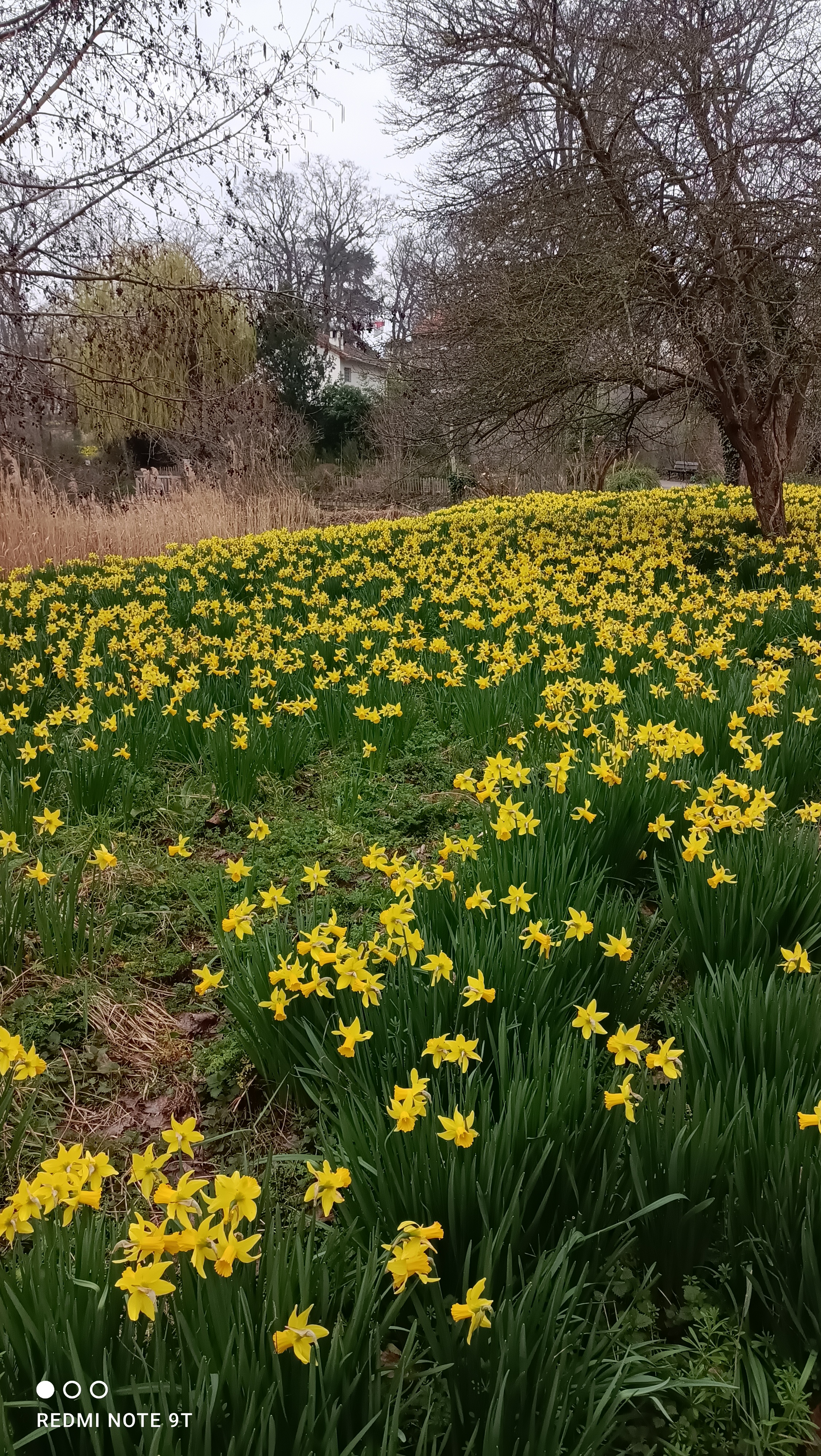 Photo n° 3 de l'avis de BOUBOU.� fait le 17/08/2021 à 05:00