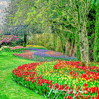 Photo Art by Laura Landscape Photography - Photo 4 - Car repair in , Spokane