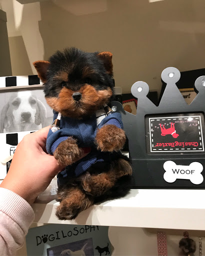 Pet Supply Store «Woof Woof Puppies & Boutique», reviews and photos, 29555 Northwestern Hwy, Southfield, MI 48034, USA