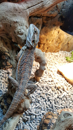 Pet Store «Fish-N-Pets Unlimited», reviews and photos, 11710 Bissonnet St, Houston, TX 77099, USA