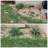 Freedom From Lawn Care - Photo 2 - Car repair in , Springfield
