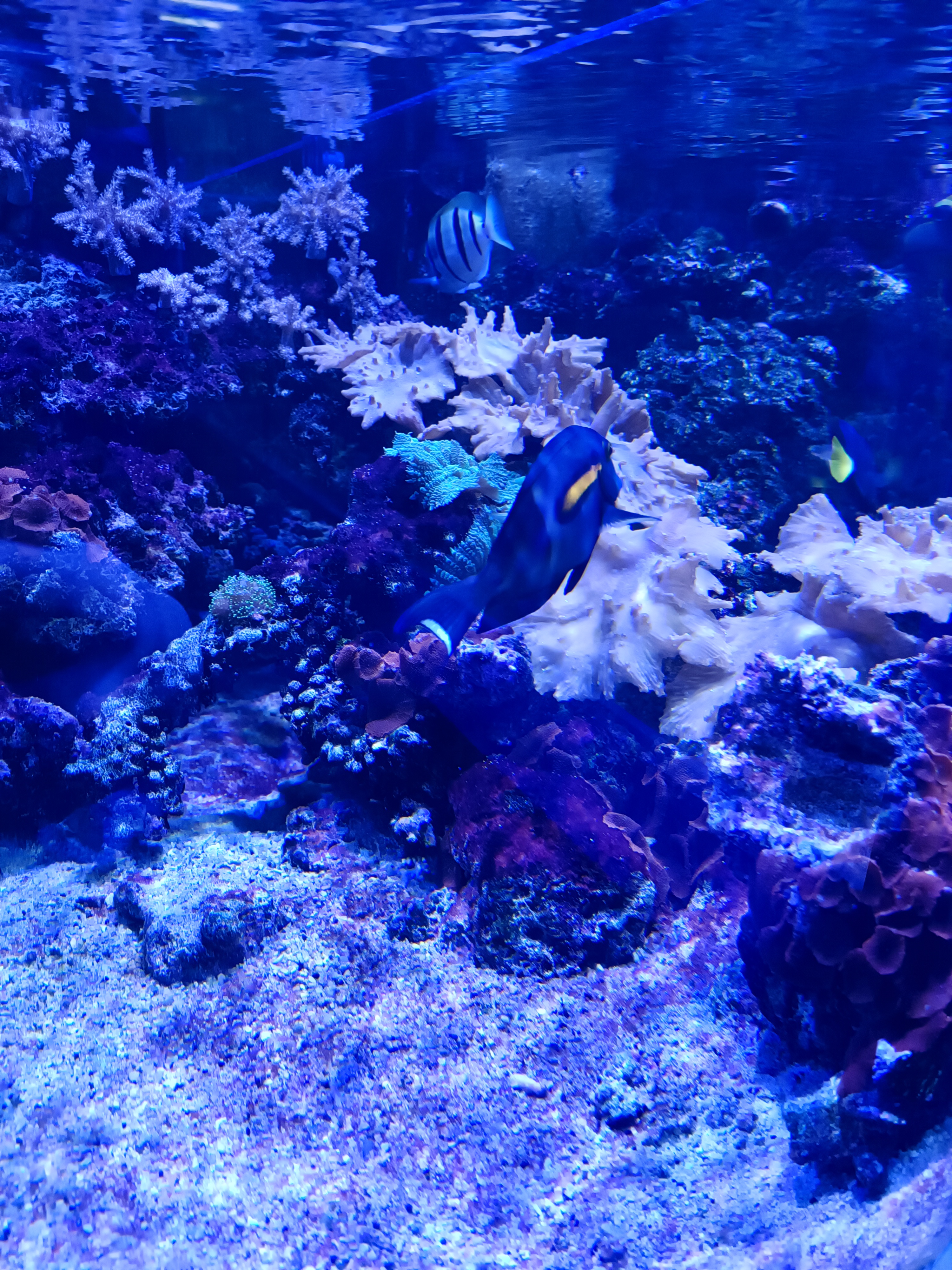 Photo n° 2 de l'avis de MIMI.U fait le 04/02/2024 à 09:46