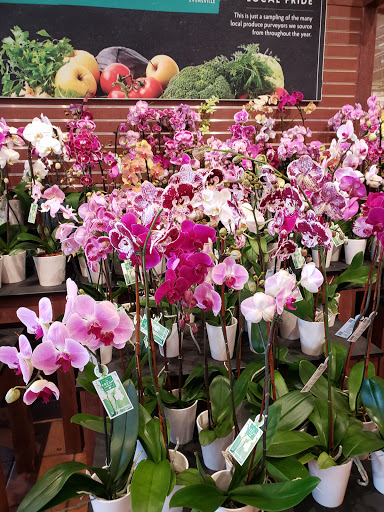 Grocery Store «The Fresh Market», reviews and photos, 835 S White Station Rd, Memphis, TN 38117, USA