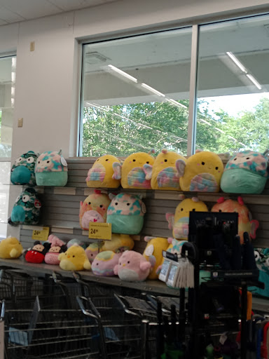 Walgreens, 680 E Burleigh Blvd, Tavares, FL 32778, USA, 