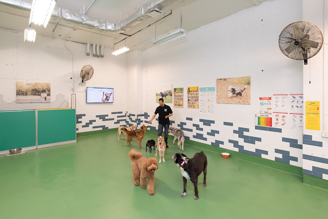 Throw Me A Bone Inc. Dog Daycare, Grooming and Boarding