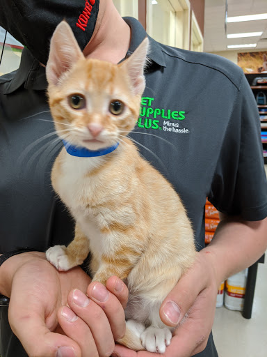 Pet Store «PetSaver Healthy Pet Superstore (Brighton Location)», reviews and photos, 2947 Monroe Ave, Rochester, NY 14618, USA