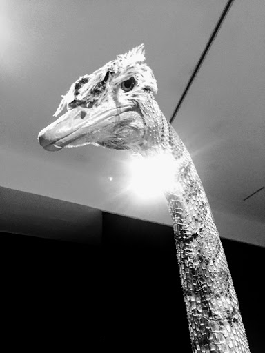 Art Museum «Contemporary Arts Center», reviews and photos, 44 E 6th St, Cincinnati, OH 45202, USA