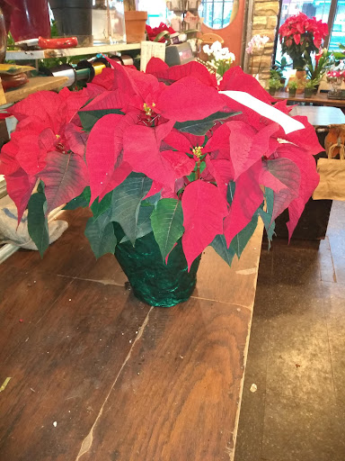 Florist «Sunshine Florist Inc.», reviews and photos, 946 1st Avenue, New York, NY 10022, USA