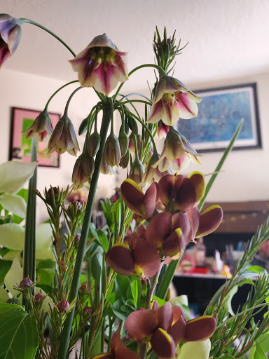 Florist «By the Bunch», reviews and photos, 7042 SE Milwaukie Ave, Portland, OR 97202, USA