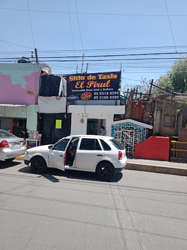 Sitio de Taxis El Pirul