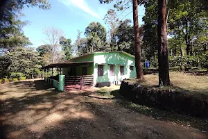 Pakuthi Palam KFDC forest lodge image