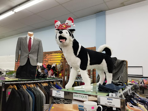 Thrift Store «Village Thrift», reviews and photos, 830 N Apollo Blvd, Melbourne, FL 32935, USA