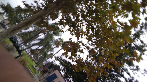 Park «Memorial Park», reviews and photos, 320 N Orange Ave, Azusa, CA 91702, USA