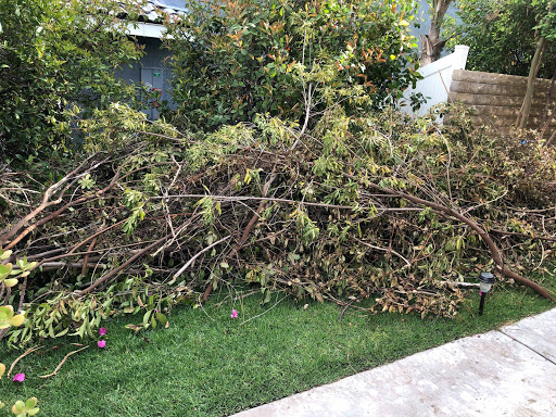 Miguel junk removal image
