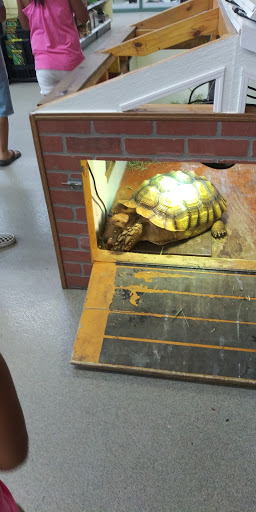 Pet Store «Petland Pensacola», reviews and photos, 6235 N Davis Hwy, Pensacola, FL 32504, USA