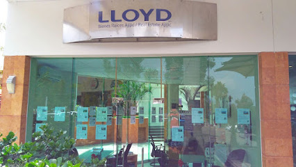 Lloyd Real Estate Ajijic