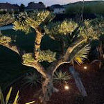 Photo n° 1 de l'avis de Clément. fait le 24/05/2022 à 20:37 pour Jardin Cousu Main à Torvilliers