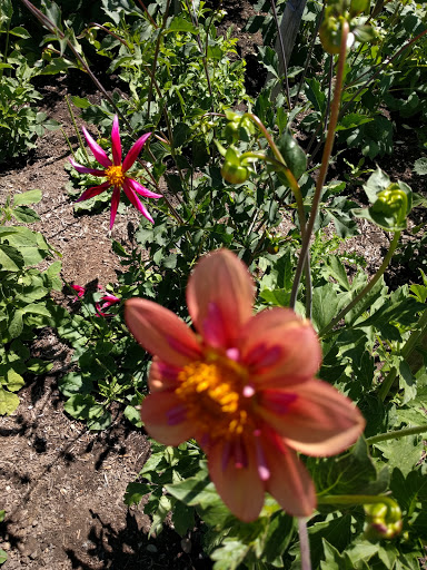 Ford Dealer «AutoNation Ford Bellevue», reviews and photos, 411 116th Ave NE, Bellevue, WA 98004, USA