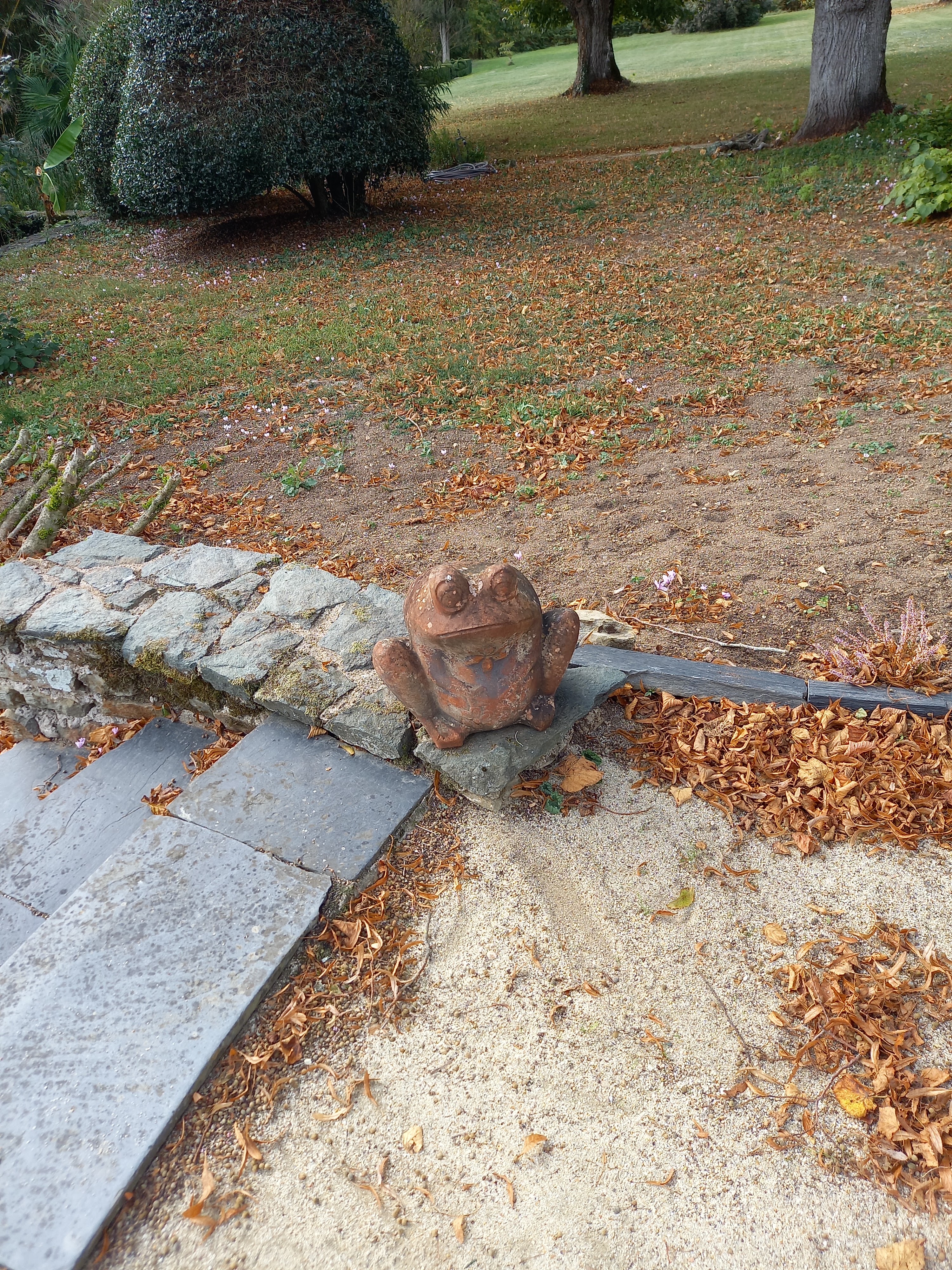 Photo n° 2 de l'avis de fabienne.i fait le 15/10/2023 à 13:14