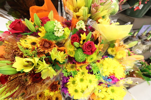 Grocery Store «Food Lion», reviews and photos, 558 W Main St, Stanley, VA 22851, USA