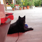 Photo n°2 de l'avis de Franziska.e fait le 19/08/2022 à 11:11 sur le  Elztalhotel à Winden im Elztal