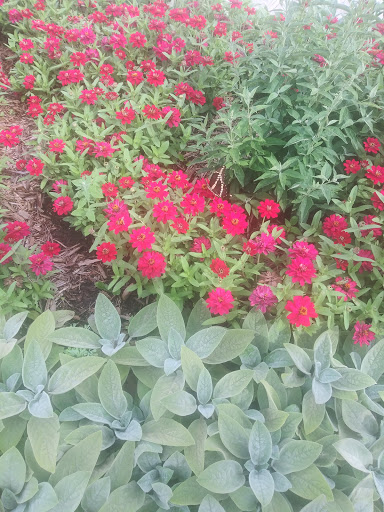 Tourist Attraction «Crossroads Village & Huckleberry Railroad», reviews and photos, 6140 Bray Road, Flint, MI 48505, USA