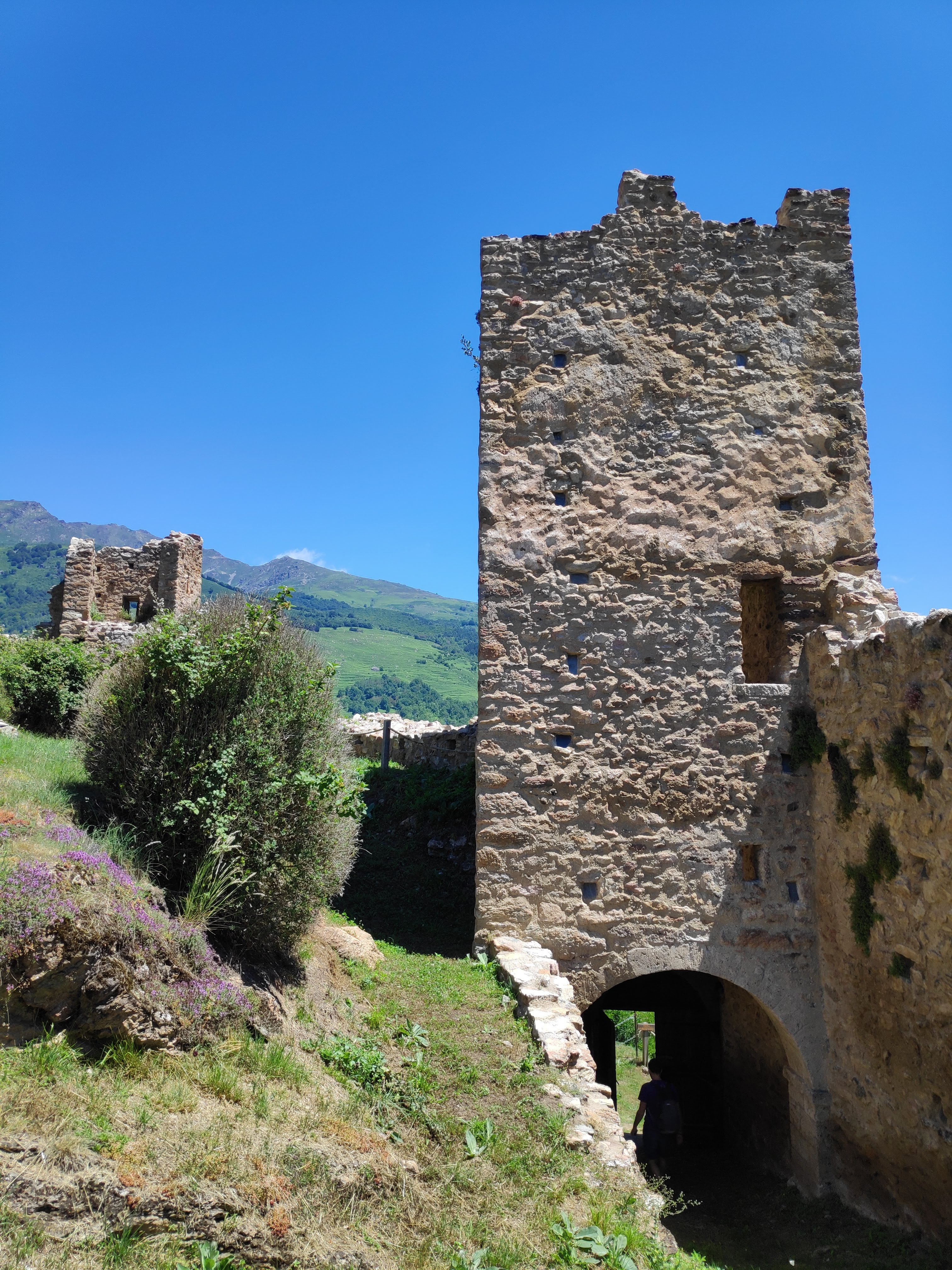 Photo n° 21 de l'avis de Claude.l fait le 05/07/2020 à 13:08