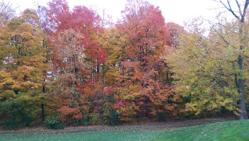 Golf Course «Turnberry Golf Course», reviews and photos, 1145 Clubhouse Ln, Pickerington, OH 43147, USA