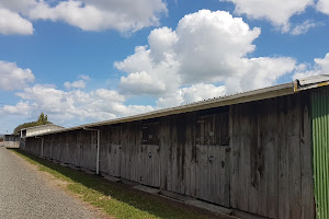 Dargaville racecourse