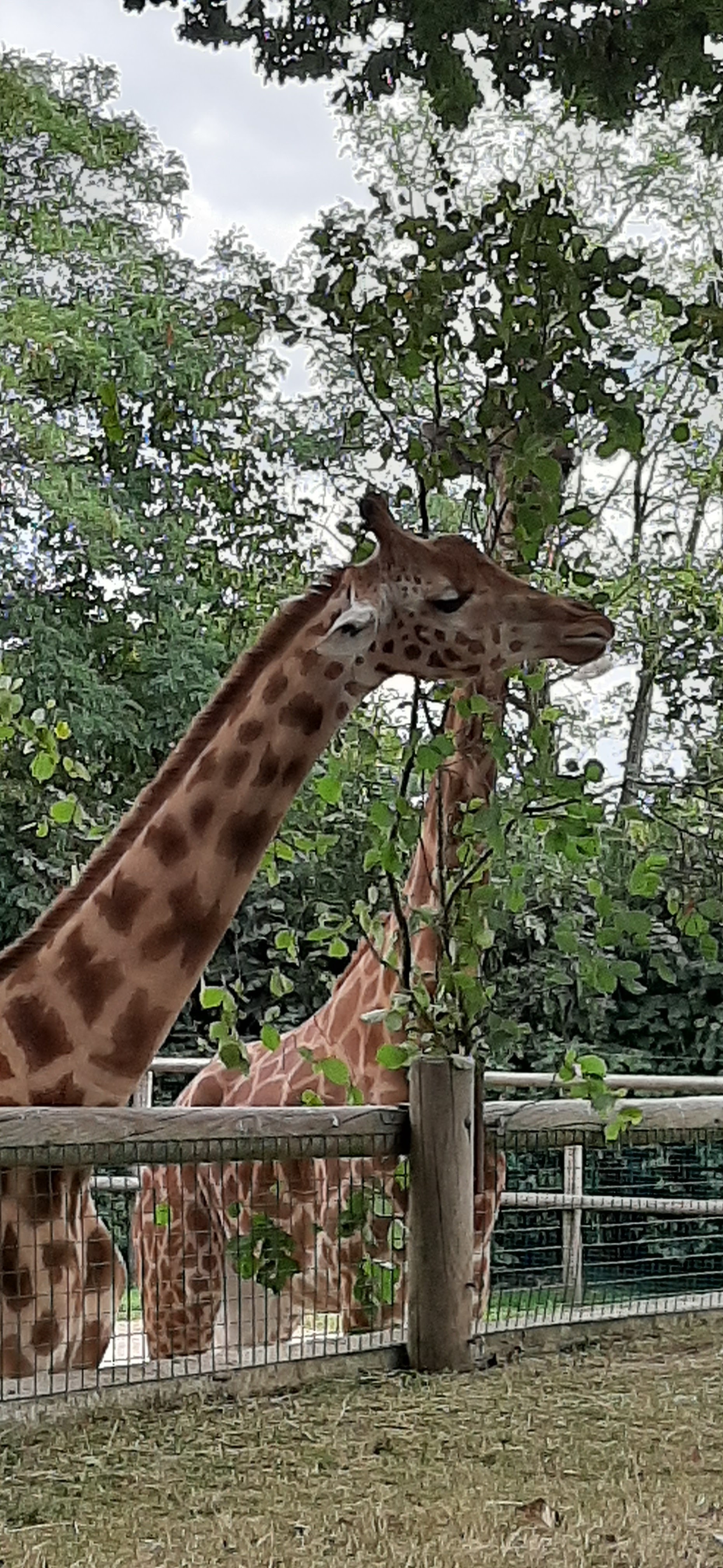 Photo n° 1 de l'avis de Doron.o fait le 04/09/2019 à 14:45