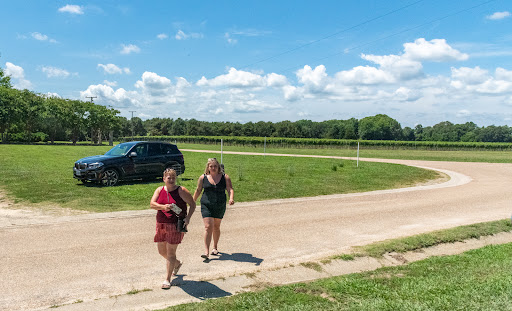 Winery «Williamsburg Winery, Ltd.», reviews and photos, 5800 Wessex Hundred, Williamsburg, VA 23185, USA