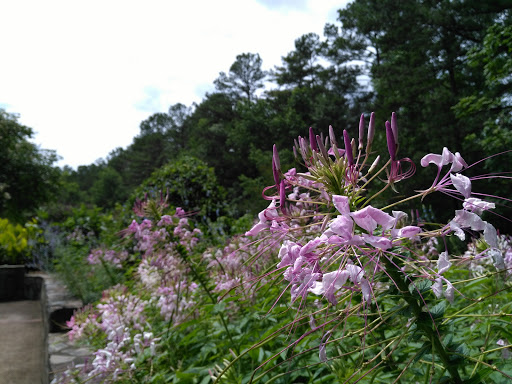 Non-Profit Organization «Dauset Trails Nature Center», reviews and photos, 360 Mt Vernon Church Rd, Jackson, GA 30233, USA