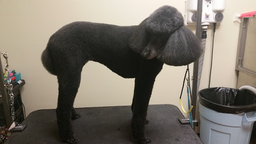 Pet Supply Store «Dawgs N Whiskers», reviews and photos, 9177 700 E, Sandy, UT 84094, USA