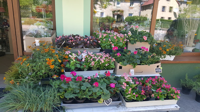 1 Maja 92, 58-530 Kowary