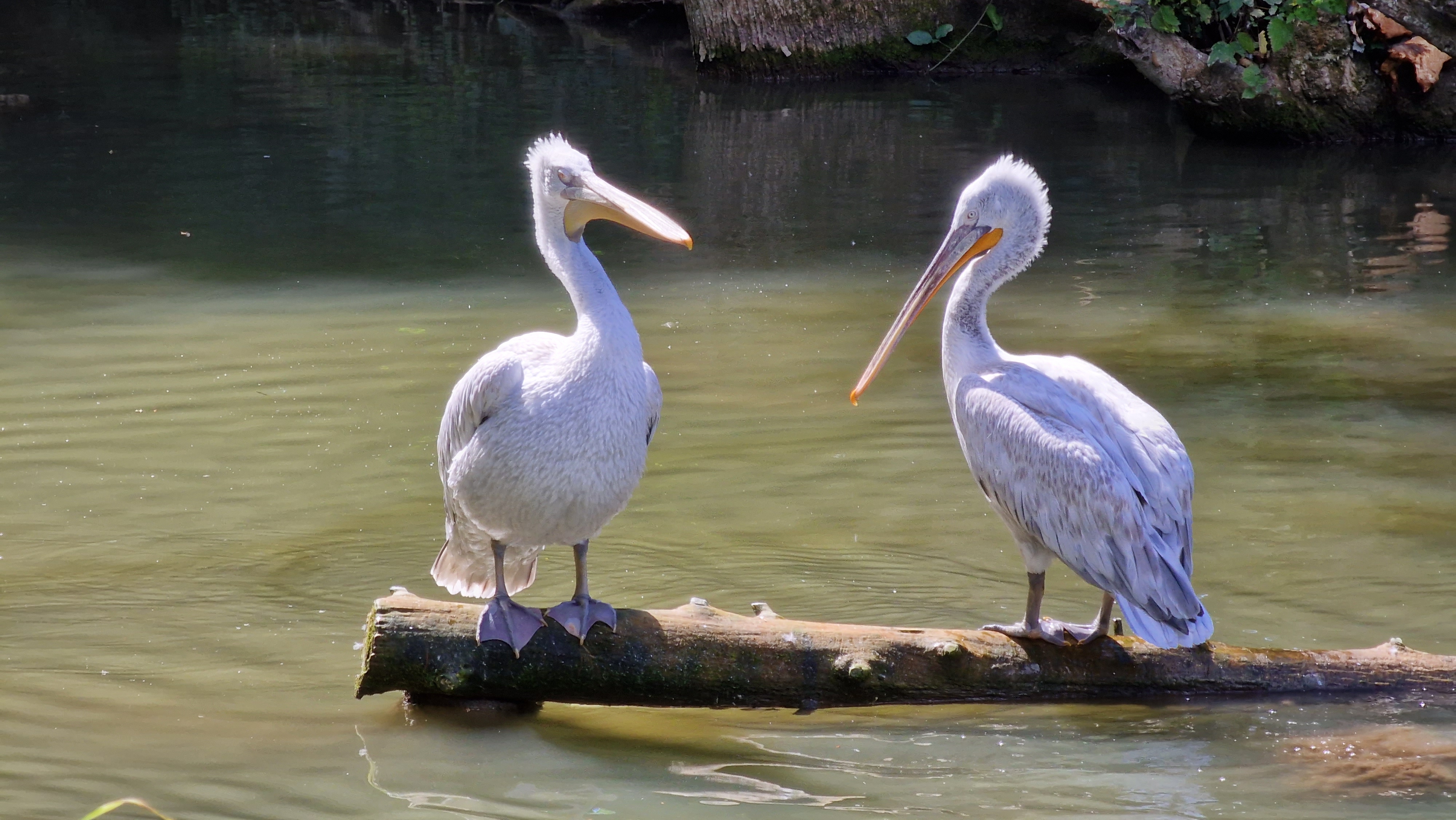 Photo n° 2 de l'avis de Xavier.E fait le 07/08/2022 à 10:27