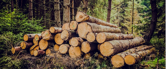 'Daugavlīči' SIA, mežizstrādes un kokapstrādes uzņēmums