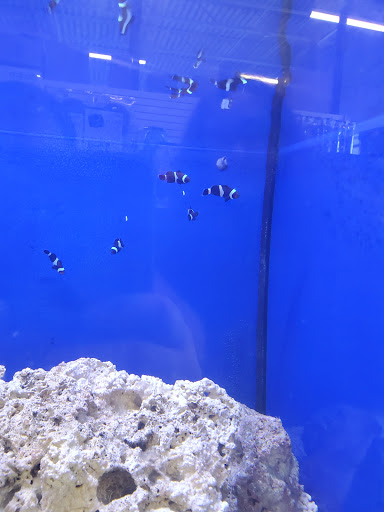 Pet Store «Bird Dog & Catfish», reviews and photos, 115 Old Boerne Rd, Bulverde, TX 78163, USA