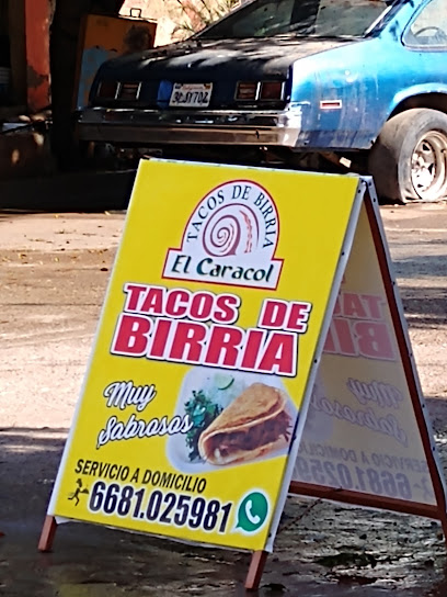 Tacos de Birria El Caracol