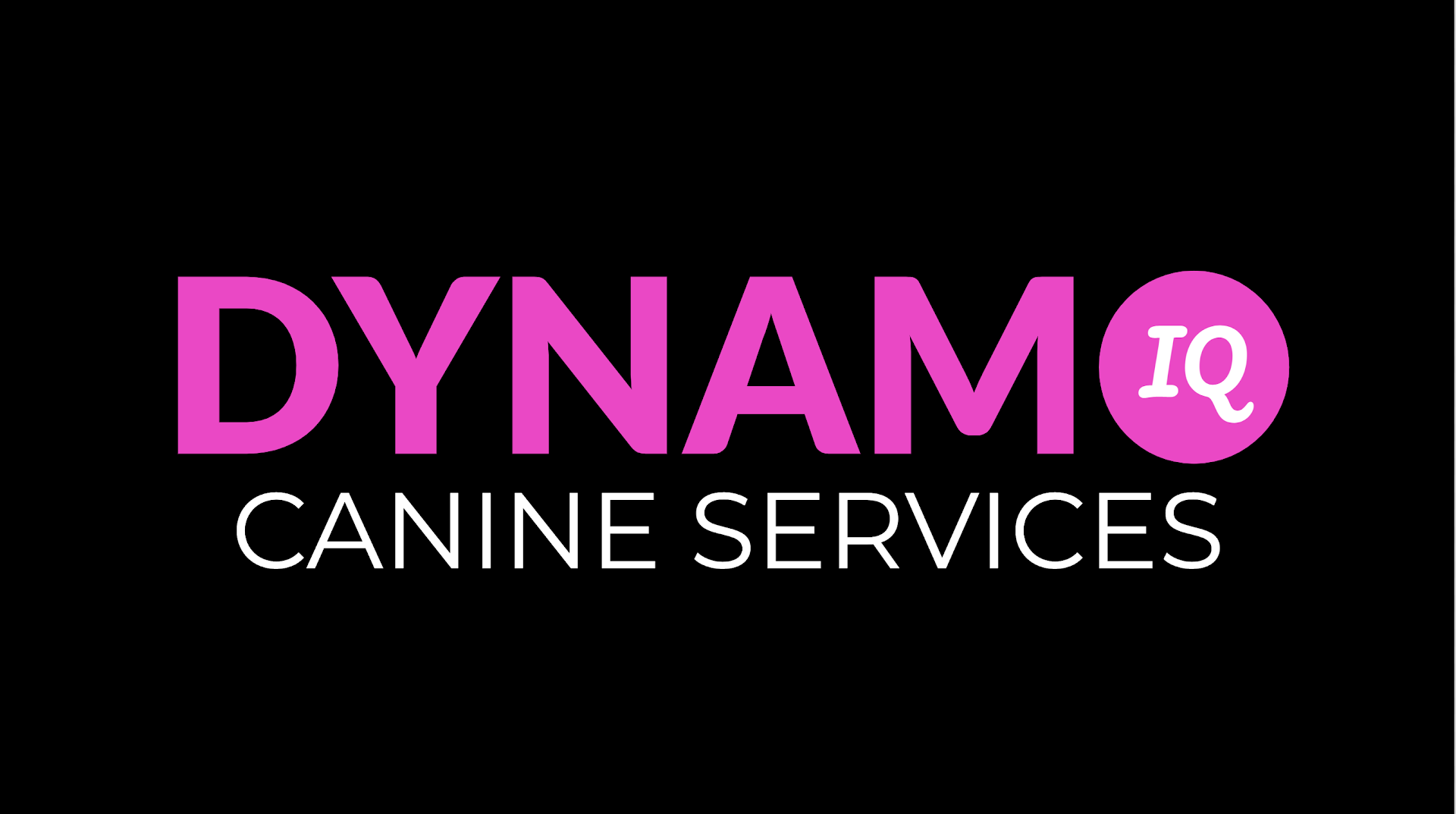 DYNAMIQ Canine Services