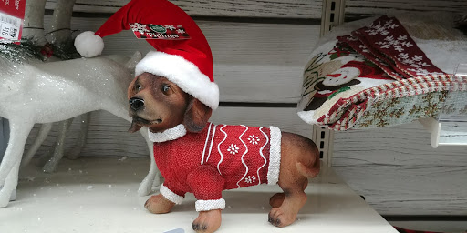 Discount Store «Big Lots», reviews and photos, 600 W 15th St, Plano, TX 75075, USA