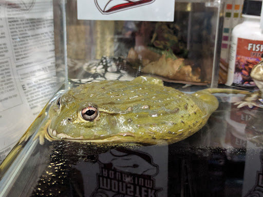 Pet Supply Store «Monster Aquarium Inc.», reviews and photos, 131-08 40 Rd, Flushing, NY 11354, USA