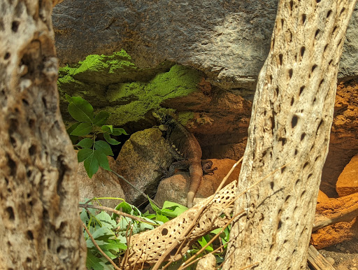 Zoo «Desert Dome & Kingdoms of the Night», reviews and photos, 3701 S 10th St, Omaha, NE 68108, USA